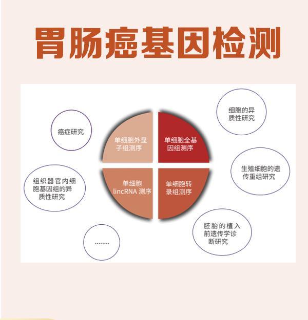 长春哪家机构能够为你的孩子做基因检测？