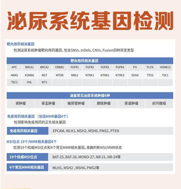 昆明天赋基因检测哪些网站可以做？泡泡基因为你解答