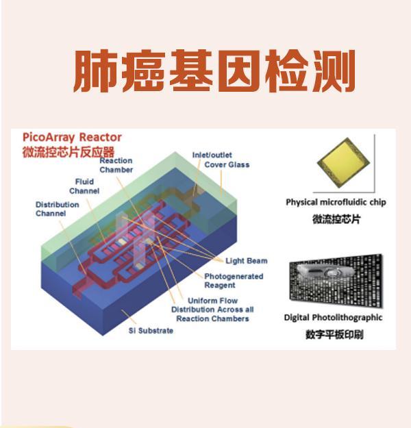 阳泉基因检测哪里可以做？选择泡泡基因，科学、权威、准确！