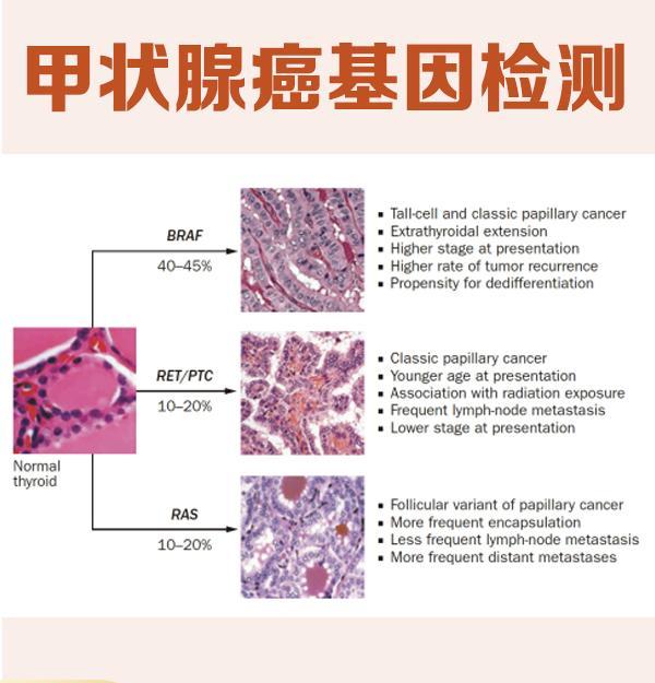 南阳基因机构报价清单，基因检测从未如此便宜！