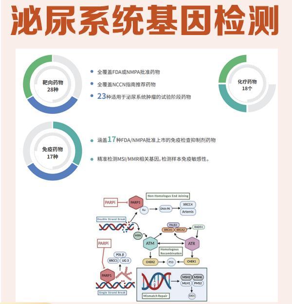 杭州基因检测预约哪家好？这家平台做到了“泡泡基因” 