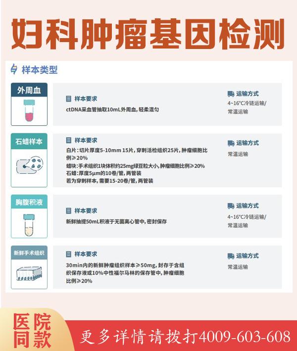 假肥大型肌营养不良DMD基因检测