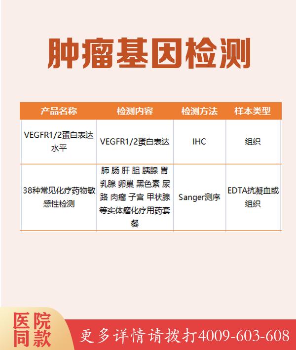 腓骨肌萎缩症相关基因检测