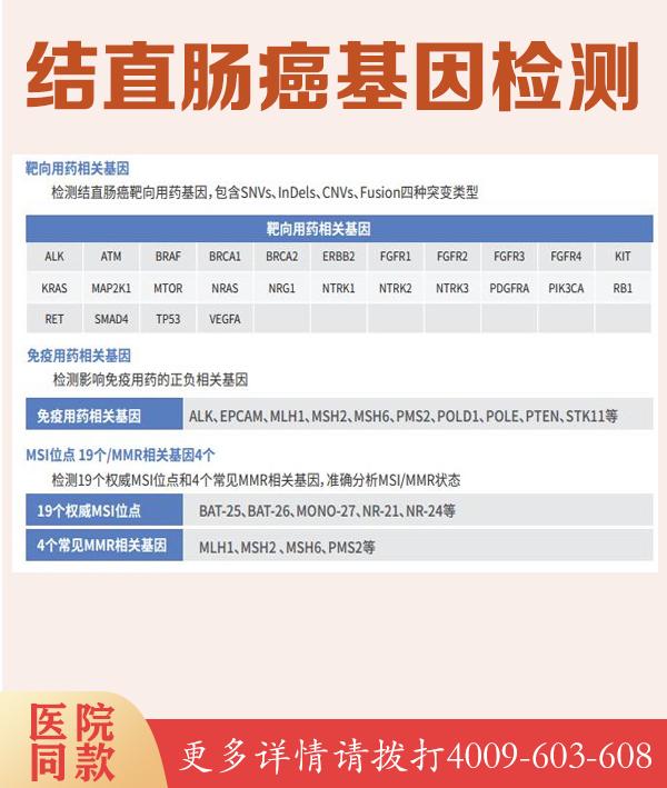 亨廷顿病HTT基因片段分析