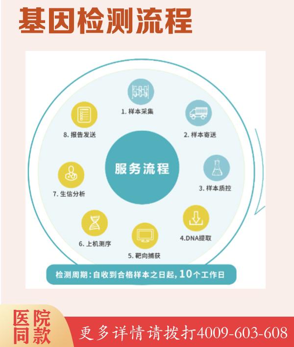 肌张力障碍相关基因测序