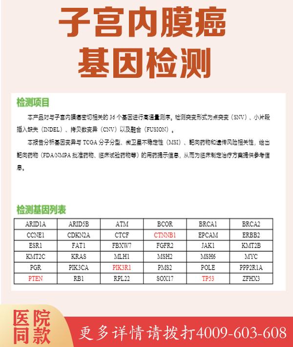 B型血友病F9基因检测