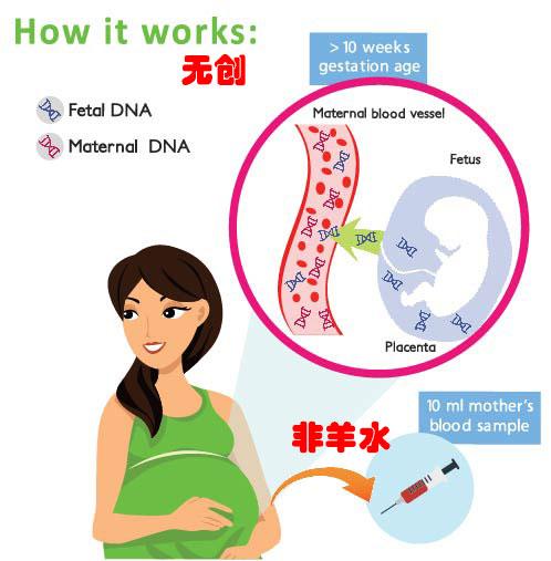 鄂尔多斯市达拉特旗DNA亲子鉴定结果