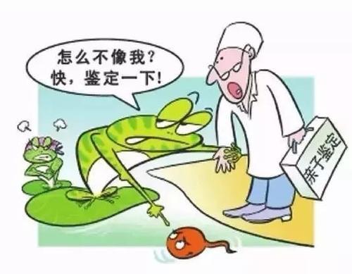 新疆克州个人DNA鉴定能不能做