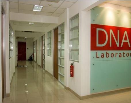 辽宁阜新DNA鉴定要多少钱的费用