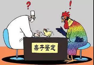 河南许昌烟头DNA鉴定怎么做