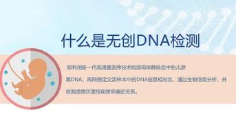 商洛市商州区DNA亲子鉴定材料