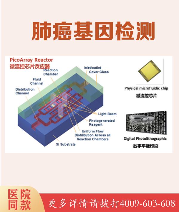 淄博肾癌ARID1A基因位点检测：了解你的基因，保护你的健康